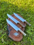 FACA BOWIE POLIDA C/ GUARDA INOX CERVO